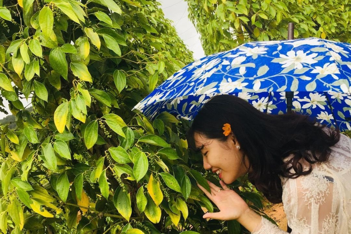 Visitors exploring a lush green pepper farm in Phu Quoc